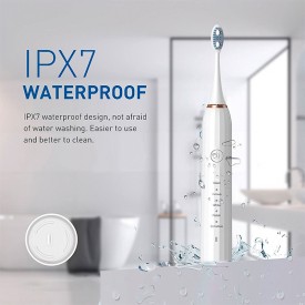 Low noise waterproof sonic adult electric toothbrush