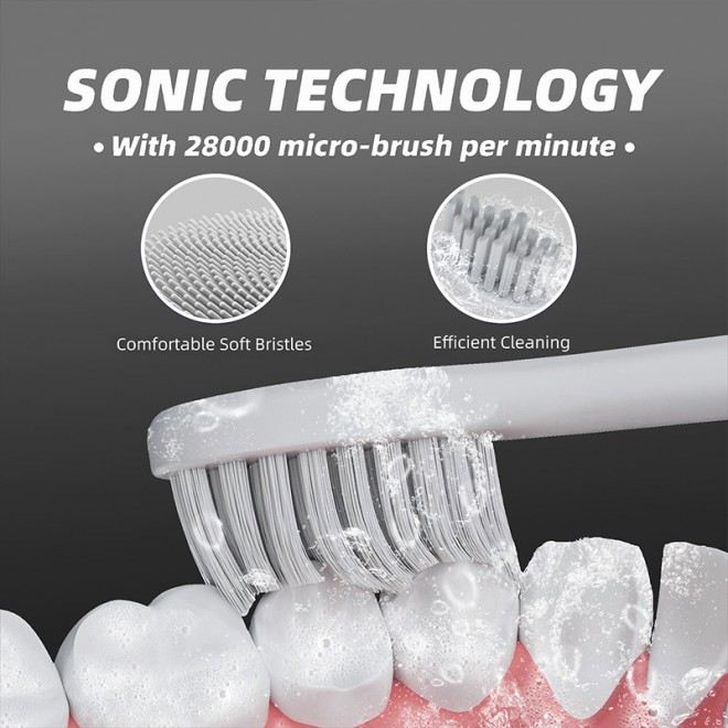 Round head soft bristle rotating adult electric toothbrush