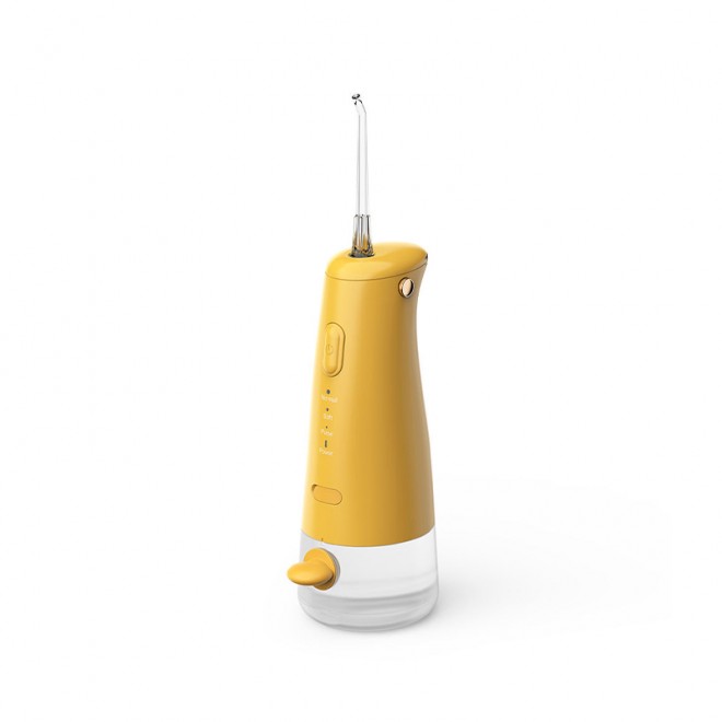 Oral care three-speed children's water flosser
