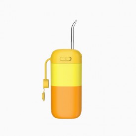 Color matching pull-out electric water flosser