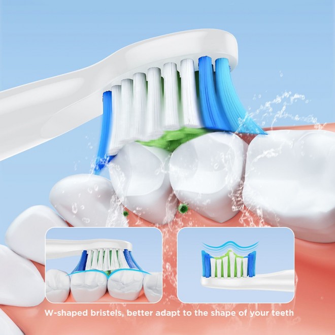 W-shaped bristle toothbrush replacement brush head