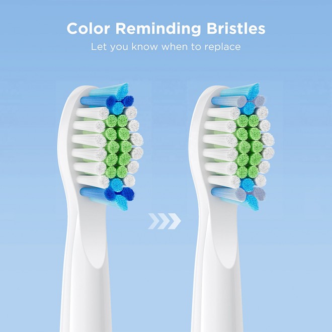 W-shaped bristle toothbrush replacement brush head