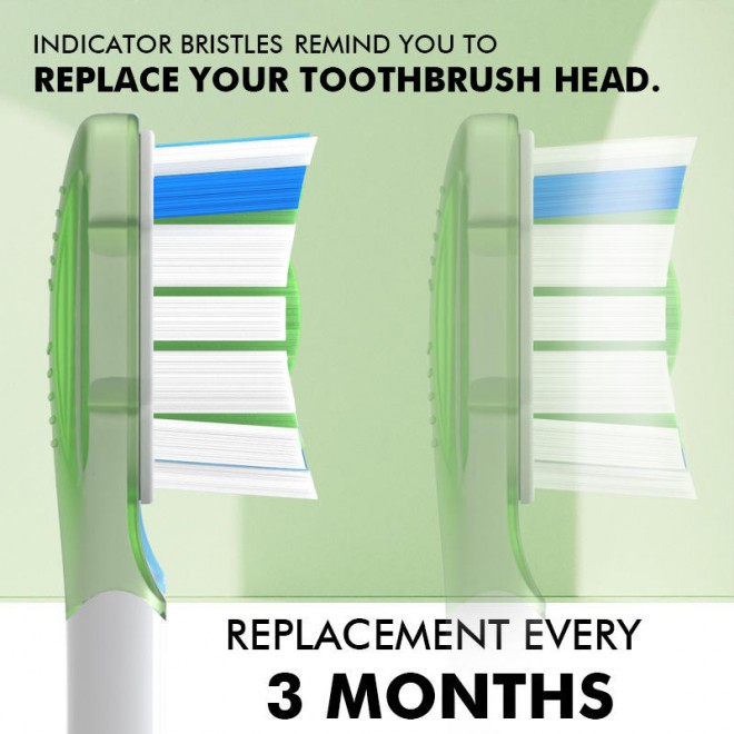 Deep clean curved bristle replacement brush head
