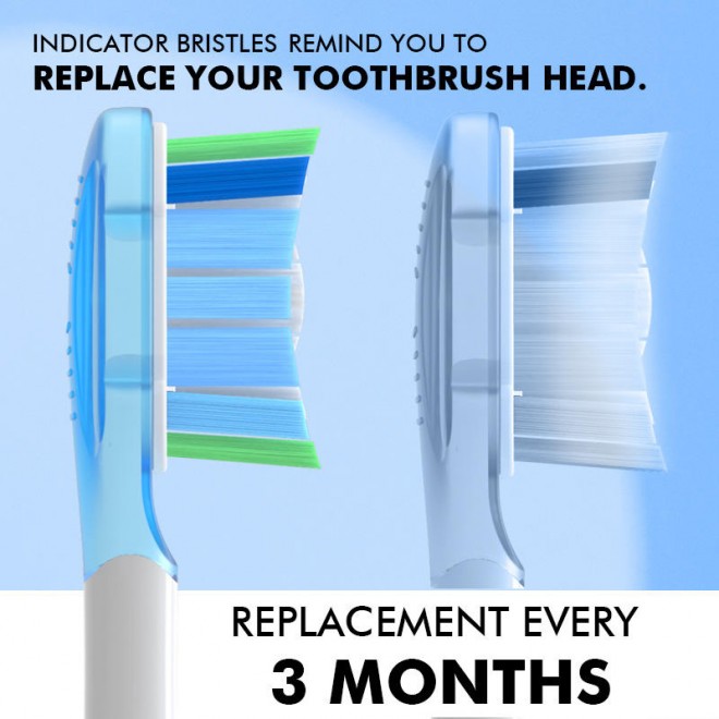Unique curved bristle replacement brush head